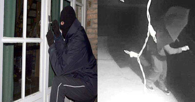 thief
