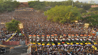 trissur pooram fire work