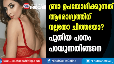 BRA USE