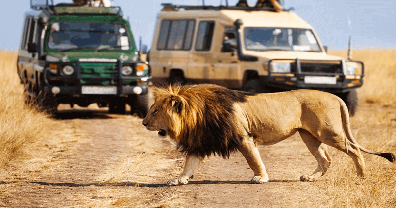 dubai-safari-park-may-15