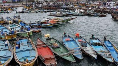 FISH BOATS