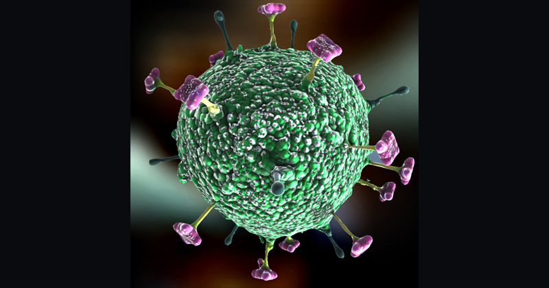 NIPAH