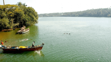 chaliyar river