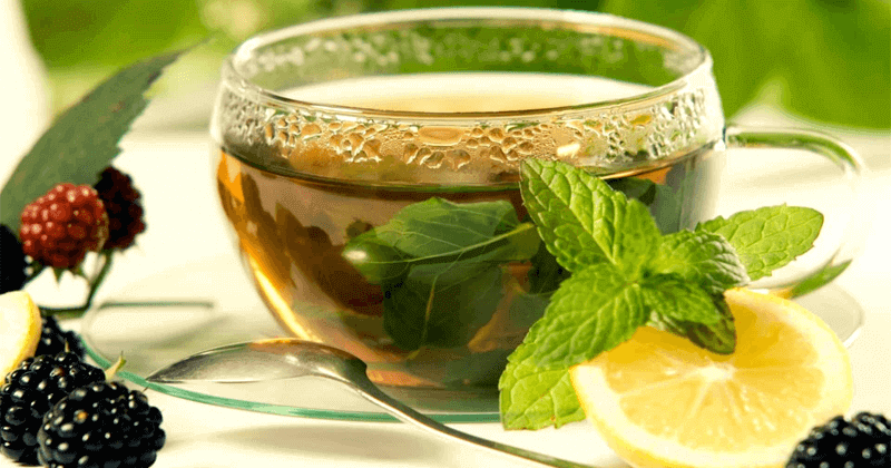 green tea health