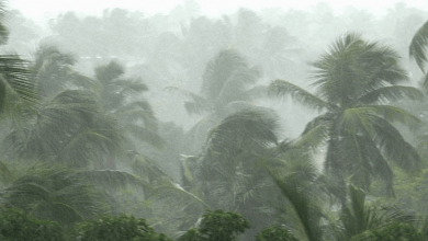 heavy rain kerala