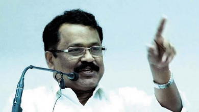 sreedharan-pillai