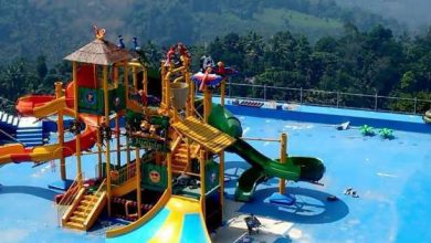 P V ANWAR MLA WATER THEME PARK