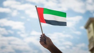 UAE FLAG