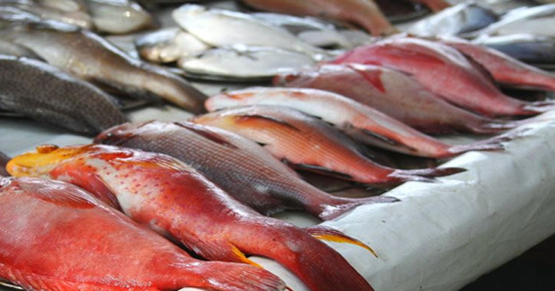 chemical fish