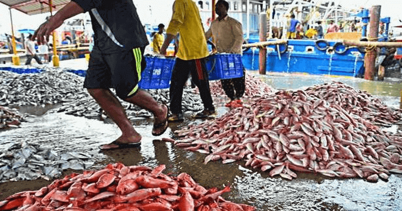 fish market