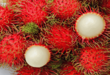 boy died of suffocation after 'Rambutan' blocked in throat