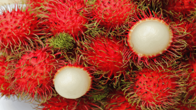 boy died of suffocation after 'Rambutan' blocked in throat