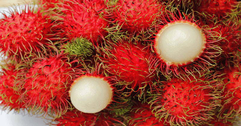 boy died of suffocation after 'Rambutan' blocked in throat