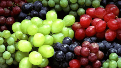 grapes and healthg