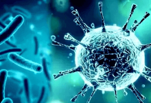 virus