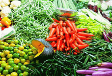 VEGETABLES