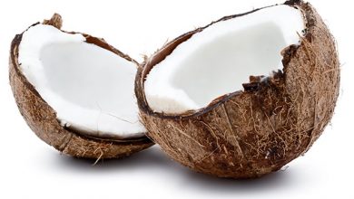 coconut