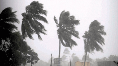 kerala wind