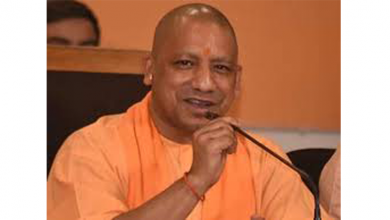 yogi
