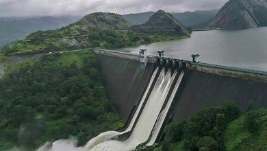 cheruthoni dam