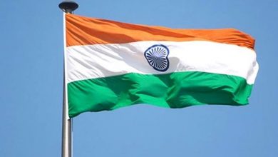 Indian Flag