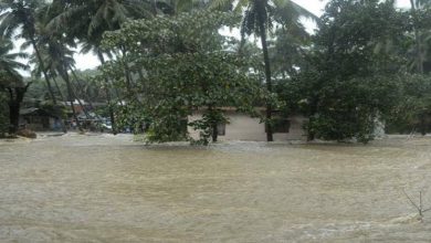 Kerala Rain