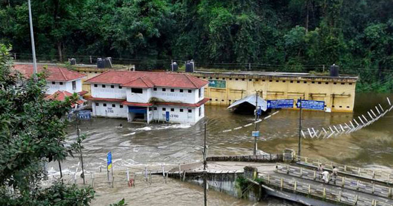 pamba
