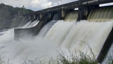 DAM PERINGALKUTHU