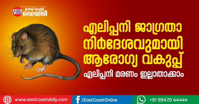 Rat-fever-kerala