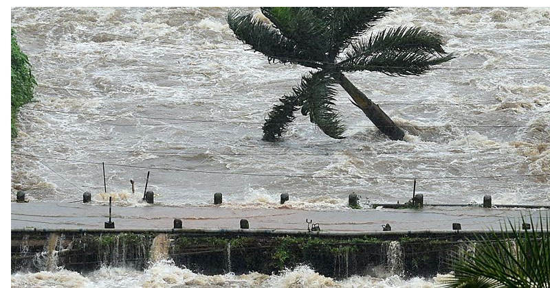 cheruthoni bridge