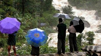 heavy rain death toll rises