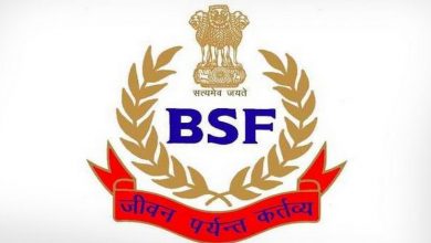 bsf