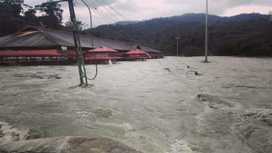 pamba