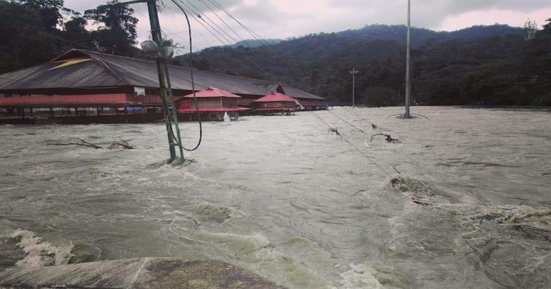 pamba