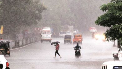 Rain kerala alert