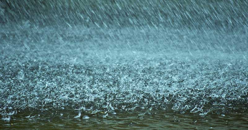 rain