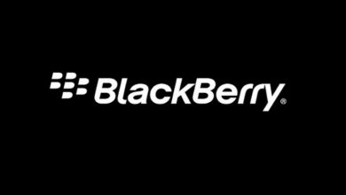 blackberry