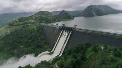 Dam