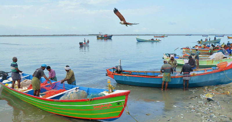 fishermen