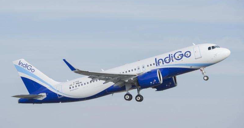 indigo