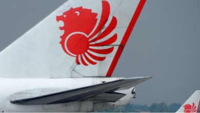 lion air