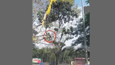 MAN STUCKED ON TREE