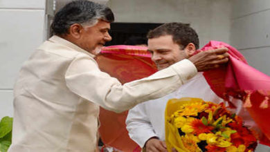 chandra babu naidu-rahul