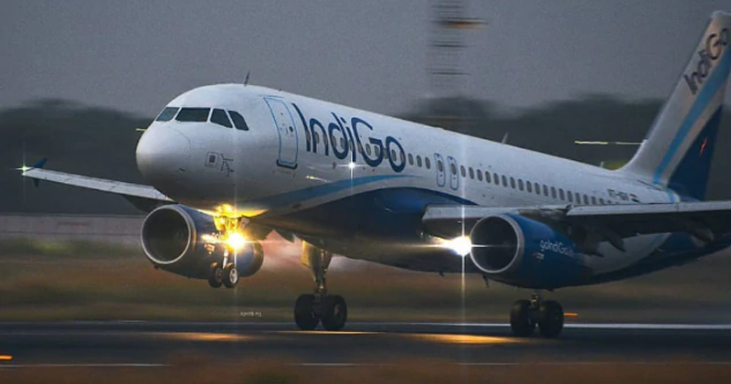 indigo