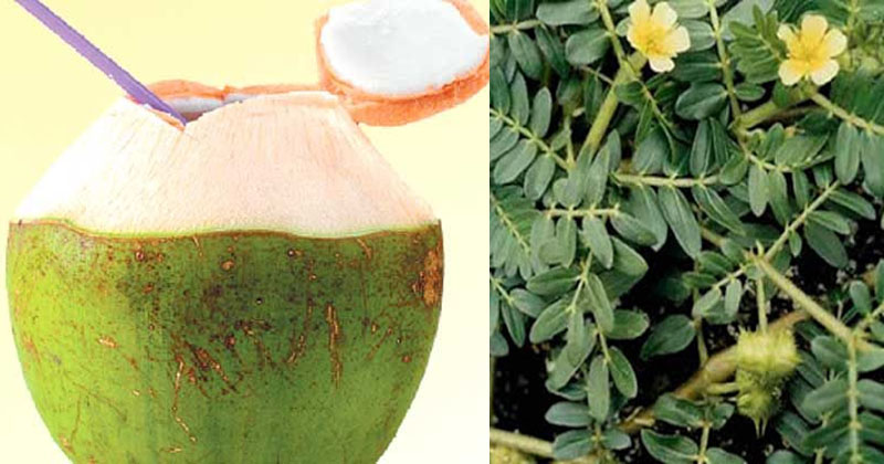 പ്രതീകാത്മക ചിത്രം
