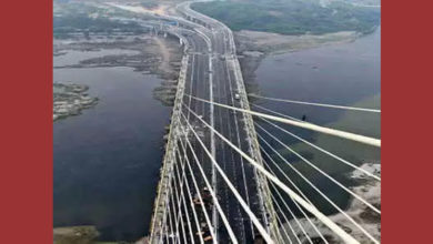 signature bridge