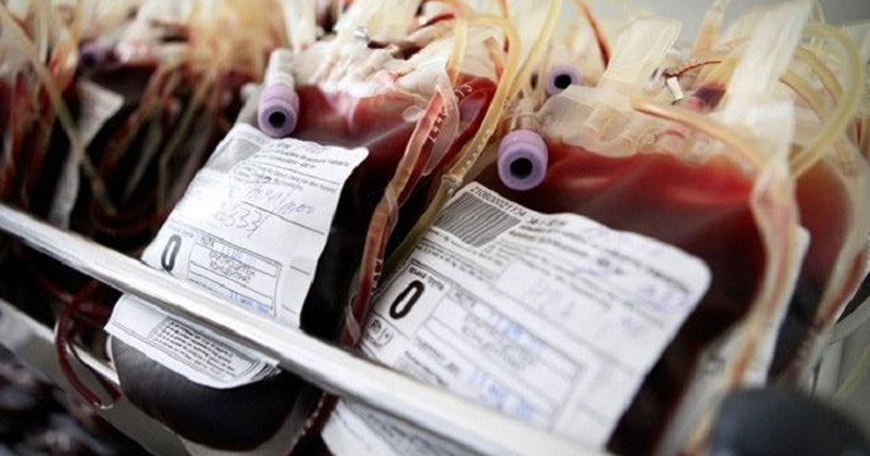 blood bank