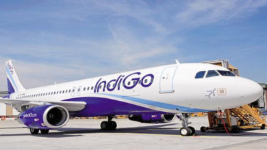 indigo flight