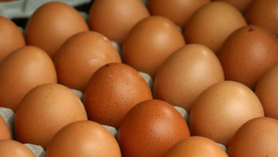 eggs