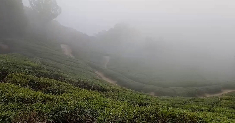 Munnar